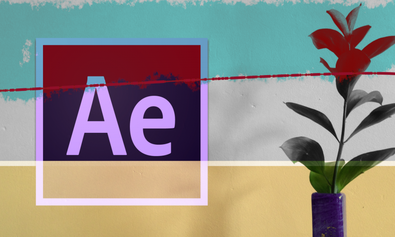 Creative Split Screens
